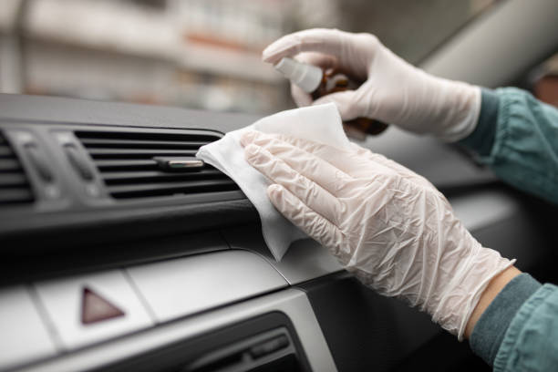 Best Air Duct Sanitizing Services  in Lake Shore, MN
