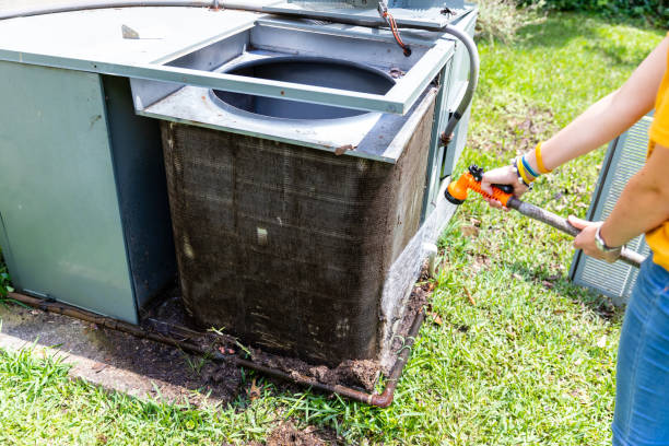 Best Home Air Vent Cleaning  in Lake Shore, MN