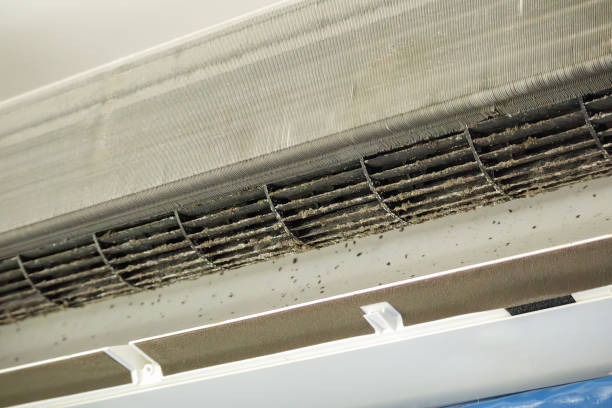 Best Emergency Air Duct Cleaning  in Lake Shore, MN