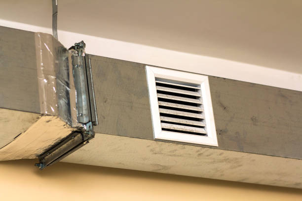 Best Air Duct Inspection  in Lake Shore, MN